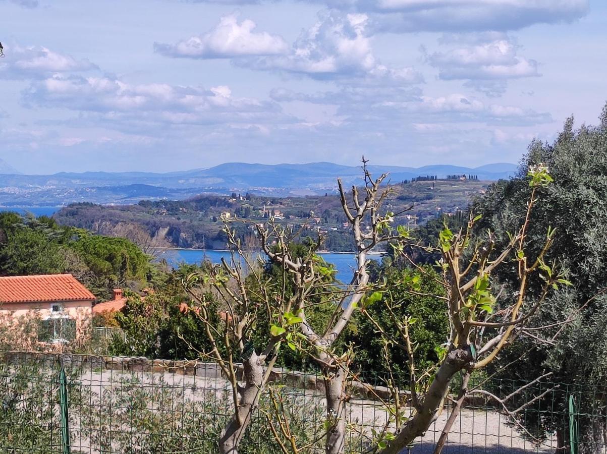 Apartma Sonja 2 piran Bagian luar foto